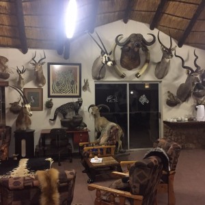 Safaris Trophy room and relaxing area