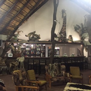 Safaris Bar area