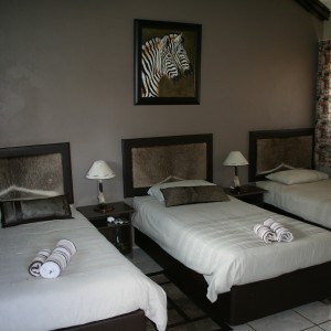 Safaris triple room