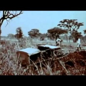 Fred Bear's Archives Elephant Bow Hunt