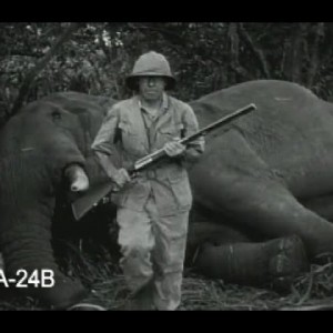 Elephant & Lion Hunting Expedition 1929
