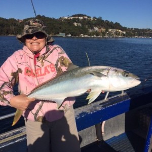 Tag and release kingfish