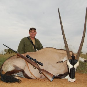 Excellent Gemsbuck bull