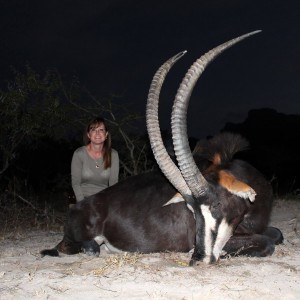 Common Sable....My New Favorite Among the African Antelope.