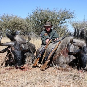 Blue Wildebeest