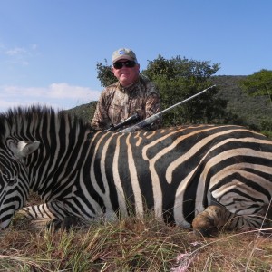 Zebra  Stallion   at O.M. Wettstein Safaris