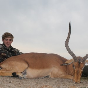 Noah's Impala at Huntershill Safaris