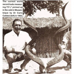 Record Kudu