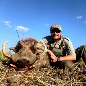 Mokore Safaris:  Warthog