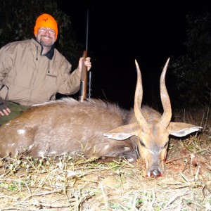 Bushbuck