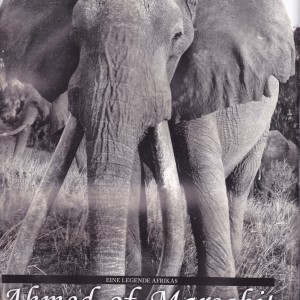 Ahmed the Elephant of Marsabit