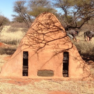 Ant Hill bow hunting hide @Limcroma Safaris