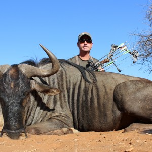 Blue Wildebeest with Limcroma Safaris
