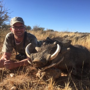 Warthog Namibia 2016