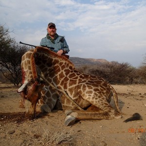 Giraffe cull - Namibia 2016
