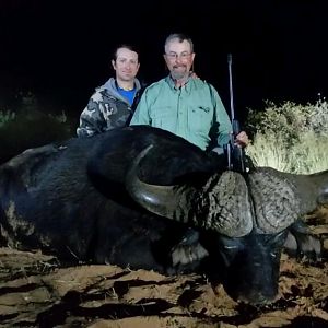 40 inch Cape Buffalo with 16 inches across the bosses