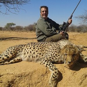 Cheetah Hunting in Namibia