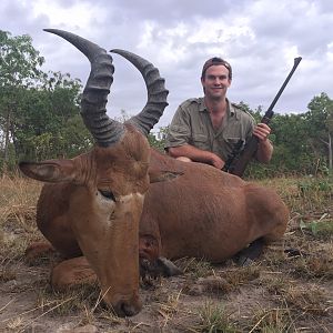 Western Hartebeest