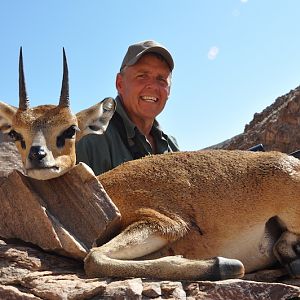 Klipspringer Namibia