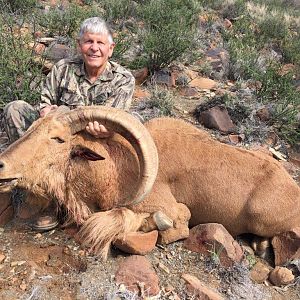 Barbary Sheep Hunt