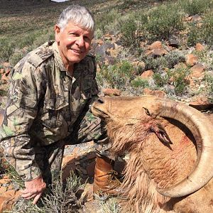 Barbary Sheep Hunt