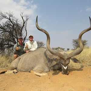 Heavy horned Bull & great lenghth!