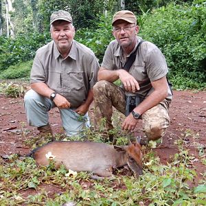 Bay Duiker hunt in the Congo with Christophe Morio