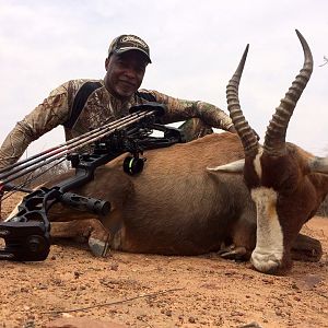 Bowhunting  Blesbuck in Limpopo