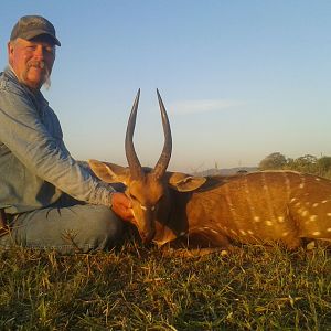 Bushbuck Hinting in Zimbabwe