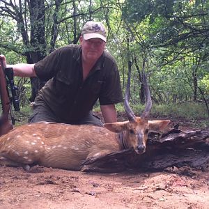 Bushbuck Zimbabwe Hunt