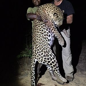 Zimbabwe Leopard Hunt