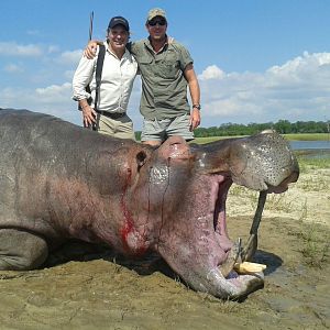 Hunt Hippo Zimbabwe