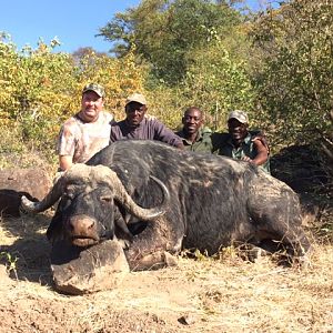 Buffalo Hunting Zimbabawe