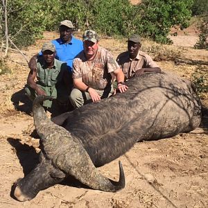 Buffalo Hunting in Zimbabawe