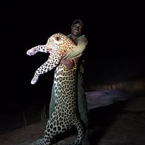 Zimbabwe Leopard Hunt