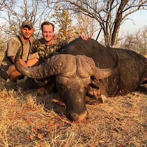 Buffalo Hunting in Zimbabwe