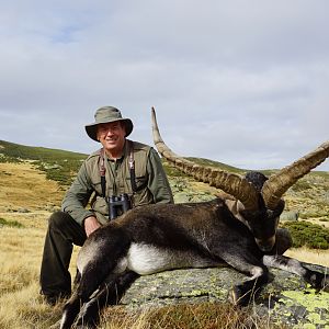 Gredos Ibex Hunt in Spain