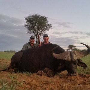 South Africa Buffalo Hunt
