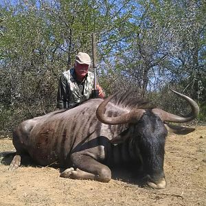 Blue Wildebeest Hunt South Africa