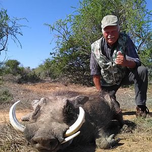 Warthog Hunting South Africa