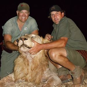 Lion hunt Selous Tanzania
