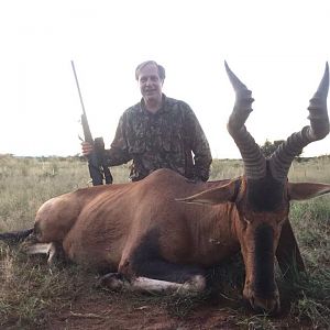 Hunt Red Hartebeest South Africa