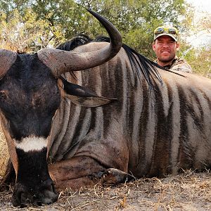 Hunting Nyasa Wildebeest Selous Tanzania