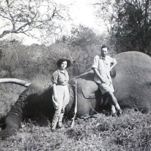 Elephant Hunting in Africa