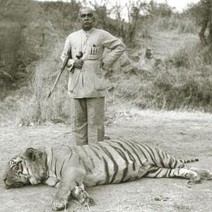 India Tiger Hunt