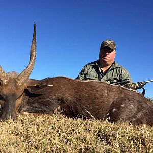 South Africa Hunting Bushbuck