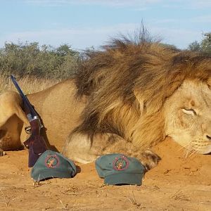 Lion Hunting South Africa