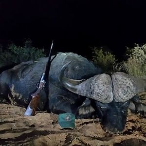 Hunting Buffalo in South Africa