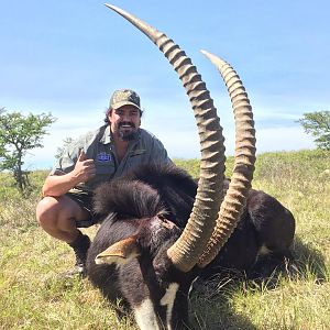 South Africa Sable Hunt