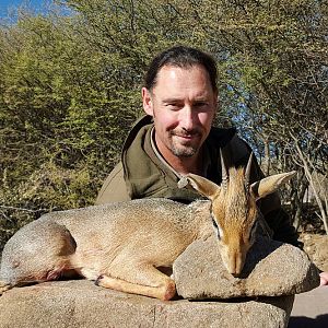 Damara Dik-Dik Hunt Namibia